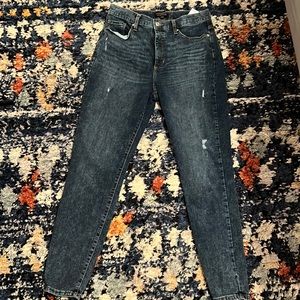 Banana Republic (BR) High Waisted Curvy Skinny Jeans, Size 30/10